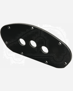 Ionnic FP3 Pendant Control Face Plate - 3 Hole, 8mm Switch Hole