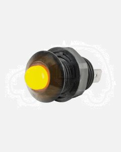 Ionnic PL394 Pilot Lamp Flashing Yellow LED 10-30V
